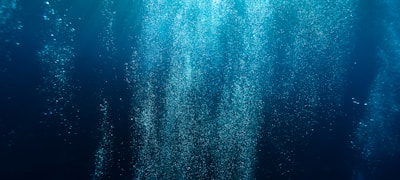 篮球球员个人数据统计表格